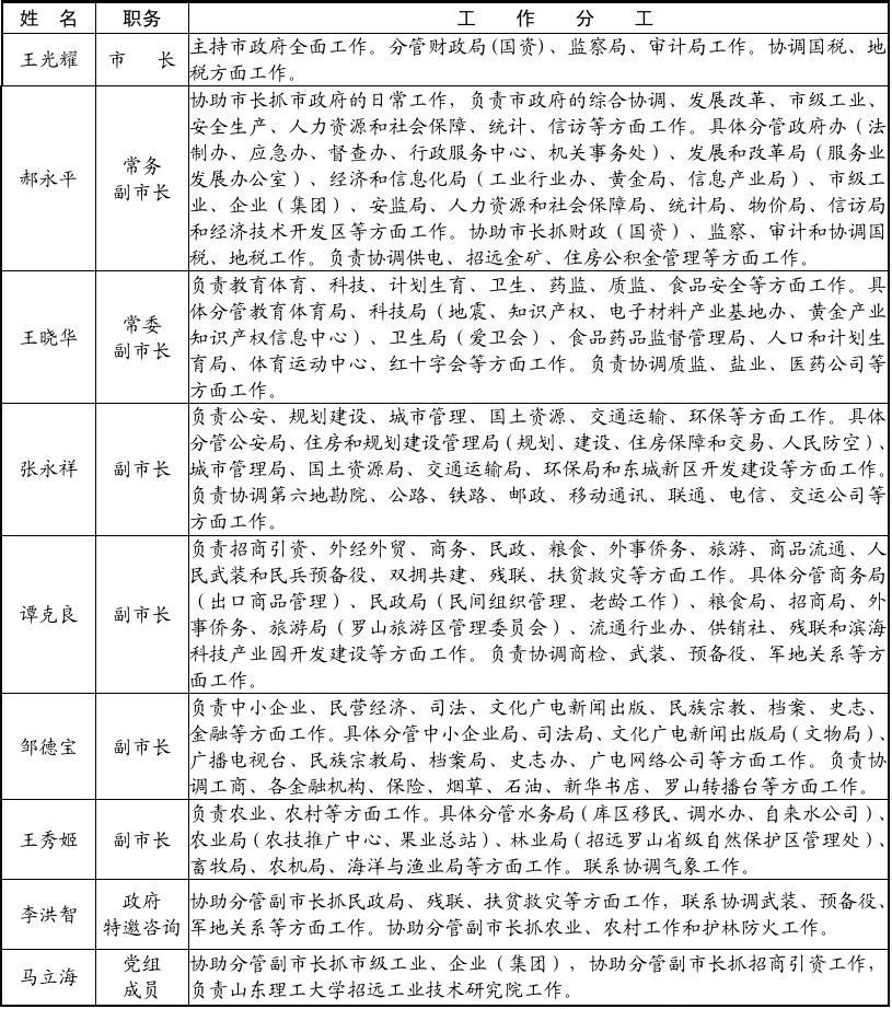 灵宝市领导分工表及职能概述最新概览