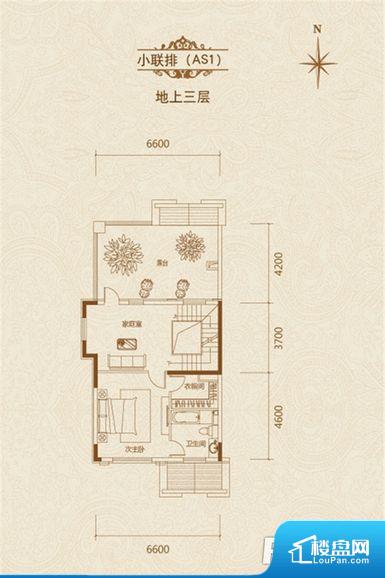 唐山唐门一品最新动态深度解析