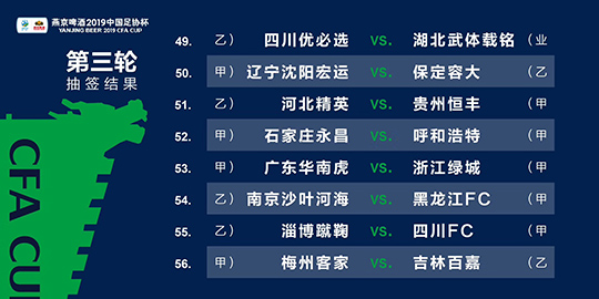 2024澳门天天开好彩精准24码,整体规划执行讲解_win206.310