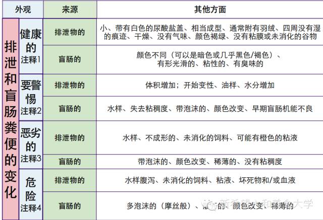 2024澳门历史记录,权威分析说明_储蓄版19.42