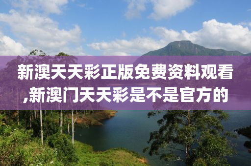 新澳天天免费资料单双_最新核心核心落实_BT12.34.109.179