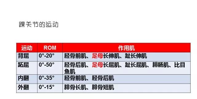 澳门彩资料查询_准确资料解剖落实_尊贵版115.5.54.91