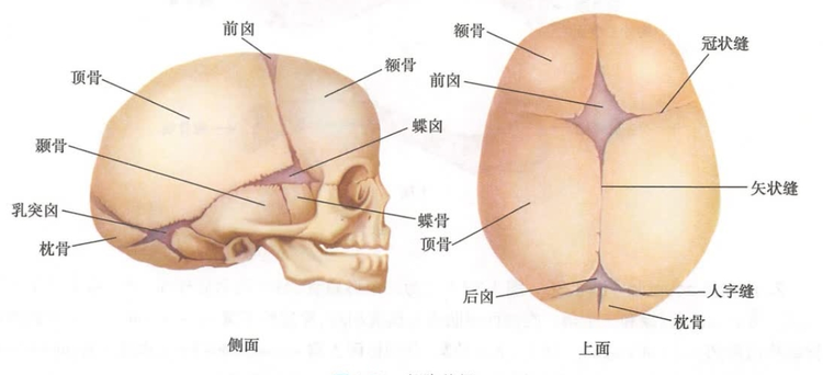 新澳天天免费资料单双_准确资料解剖落实_尊贵版167.88.212.122