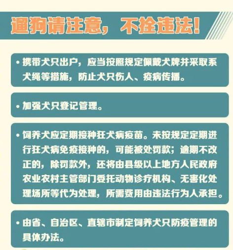 新澳精准资料免费提供网站有哪些_最新正品核心落实_BT48.177.224.150