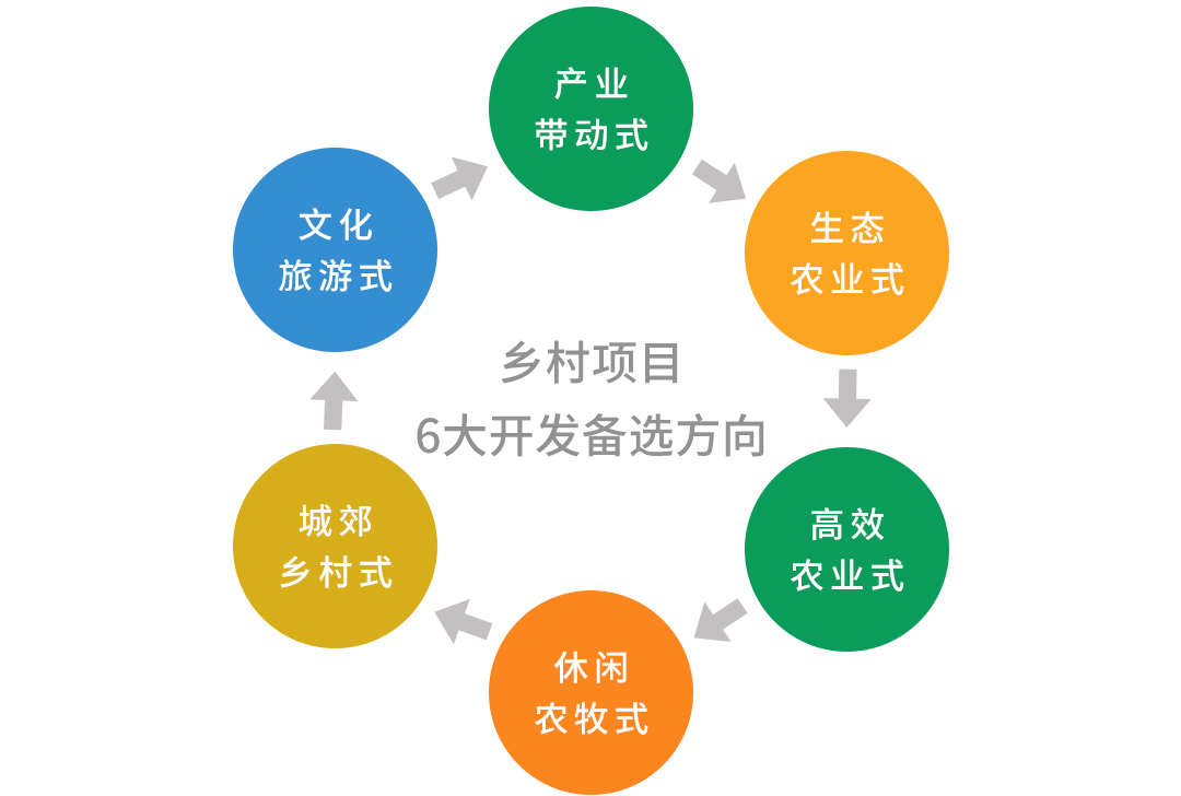 最新核心解剖落实