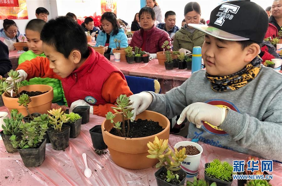 草莲社区最新地址揭秘，环境概览与未来展望