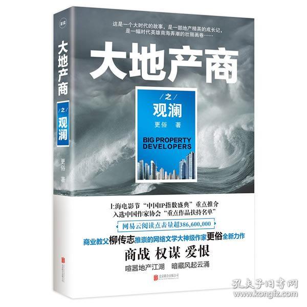 大地产商最新章节揭秘，行业变革与未来展望趋势