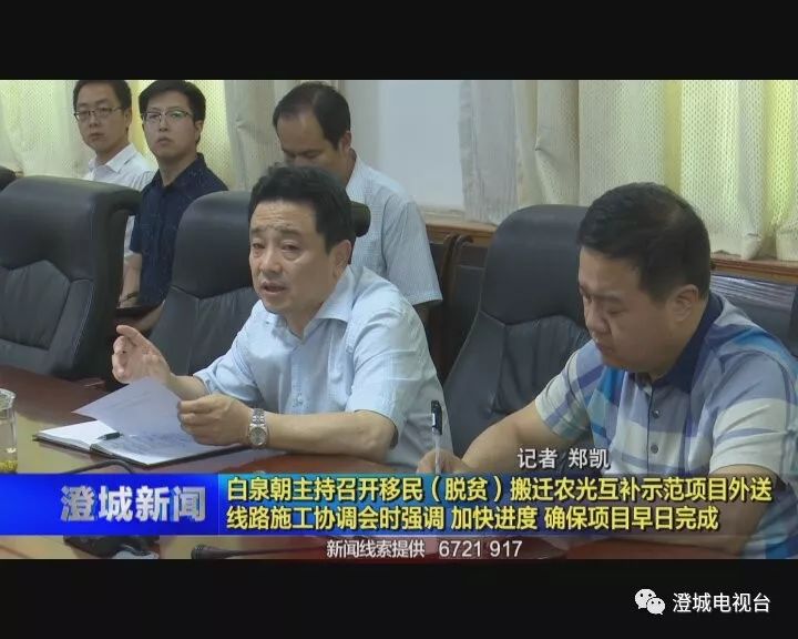 澄城新闻网最新新闻综述概览