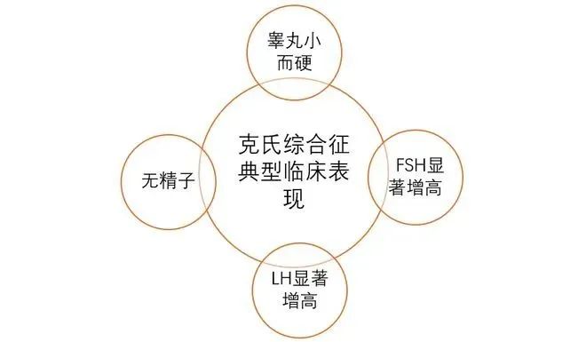 克氏综合征最新研究突破与进展概述