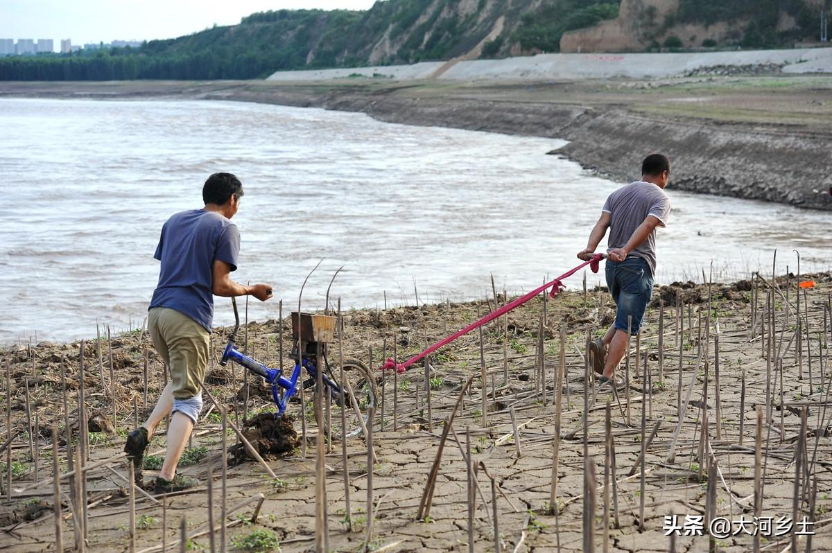 女人地男人犁，情感纠葛与成长之旅的最新篇章