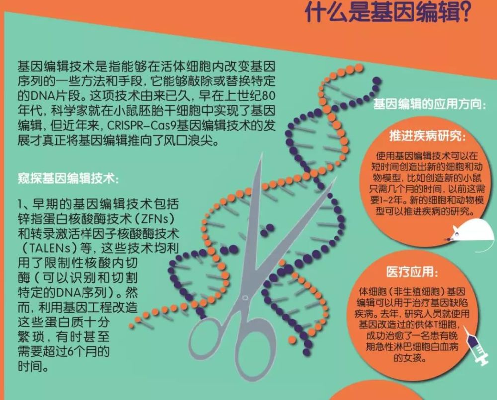 基因编辑技术的未来潜力与伦理挑战探讨