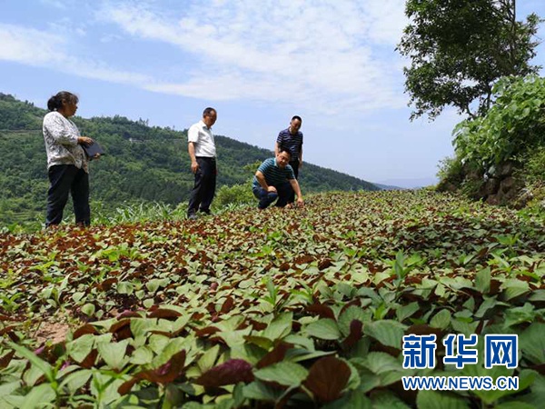 最新致富经视频，开启财富之路的新指南