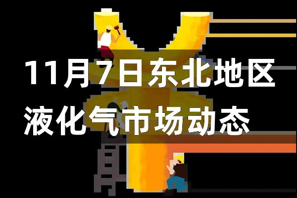 东北液化气最新价格动态分析