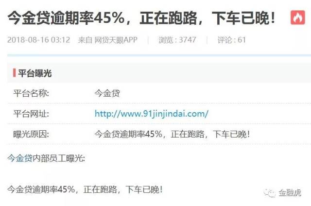 今金贷最新深度解析报告