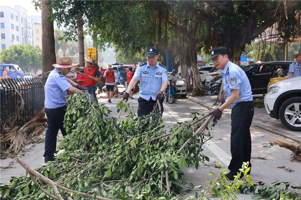 台州台风最新消息与路径分析简报