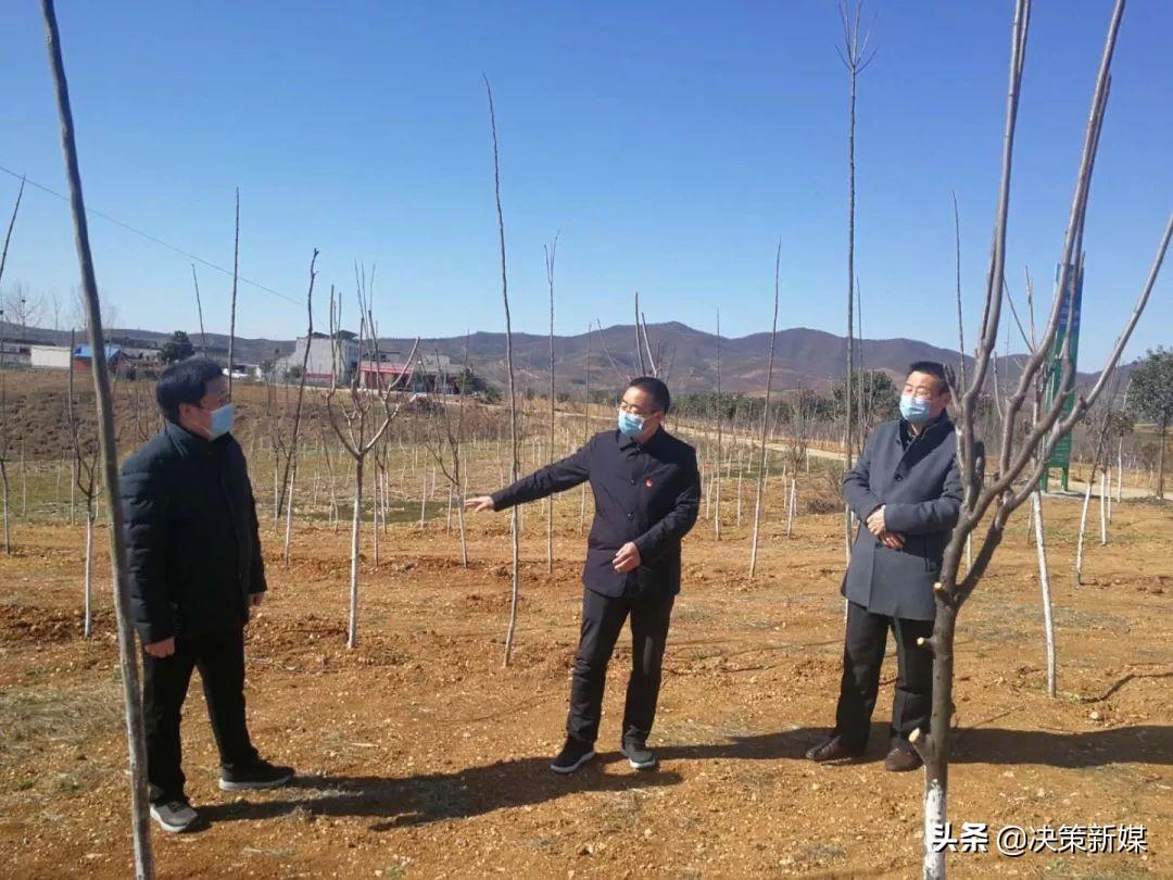 全国乡镇林业站在线平台，推动林业数字化发展的强大力量