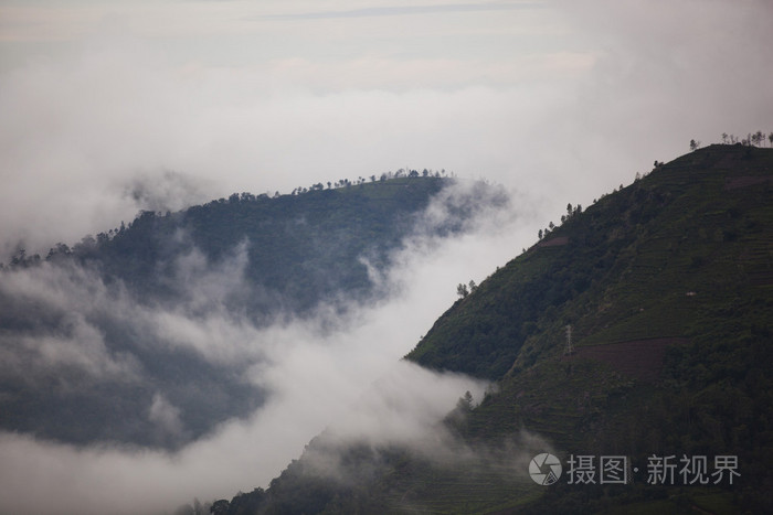 雾谷之谜，探索与下载之旅揭秘神秘面纱