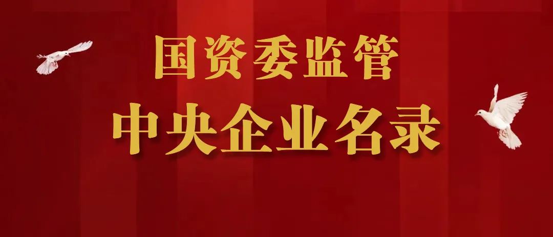 国资委央企最新排名，揭示中国企业力量，展望未来发展