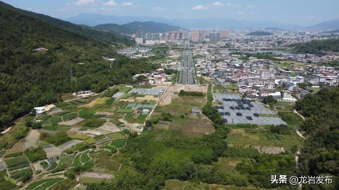 龙岩高速东环线建设进展及未来展望最新动态