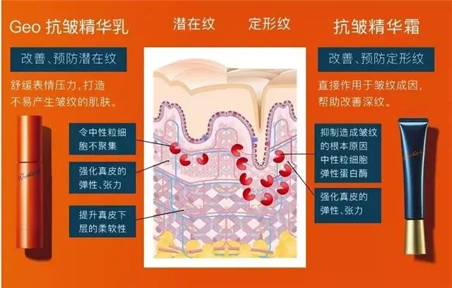 Pola抗皱精华使用心得分享