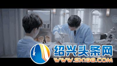 女法医，职业神秘与故事探索的TXT下载