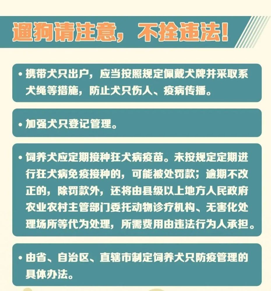 动物防疫法最新版，守护动物健康与人类安全的法律屏障