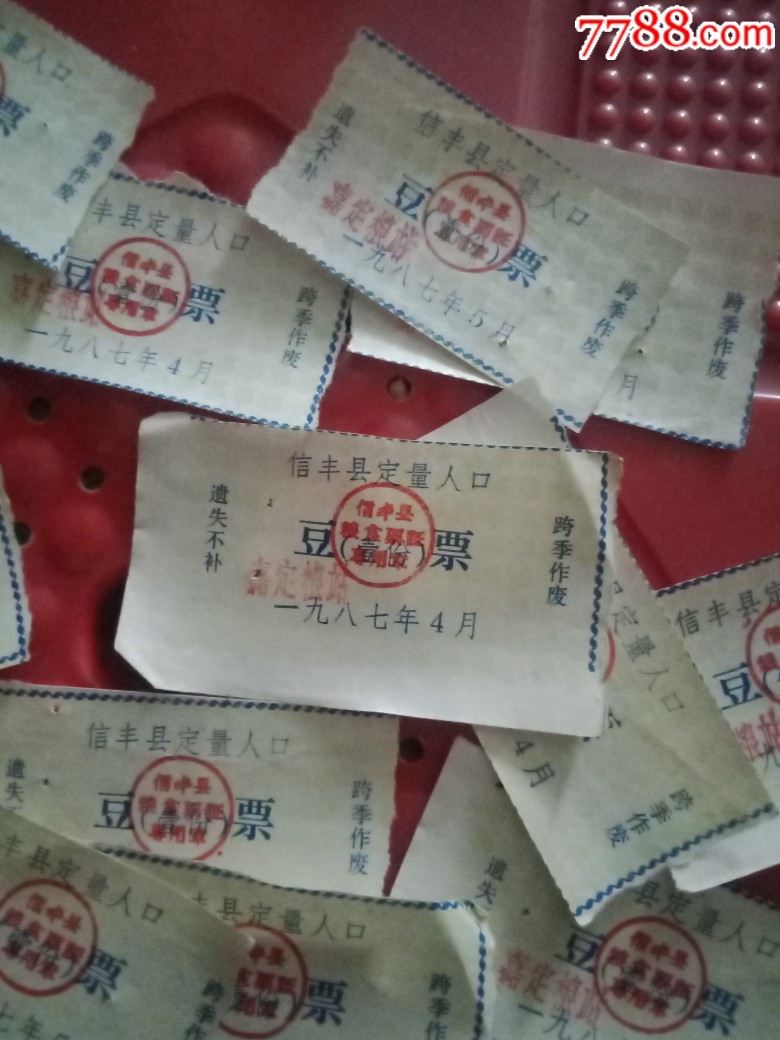 豆豆粮票下载，数字时代的全新探索体验