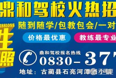 尉氏司机招聘信息概览与职业前景展望