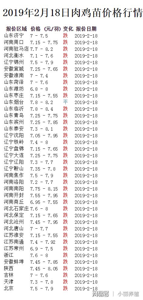 全国鸡蛋报价网实时更新，洞悉鸡蛋市场动态与趋势