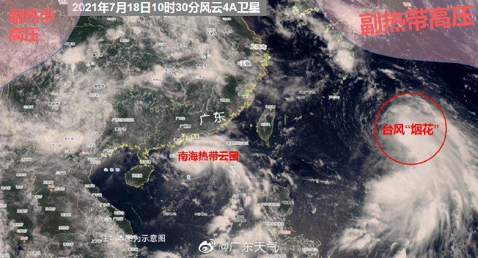 广东台风最新动态及其影响分析