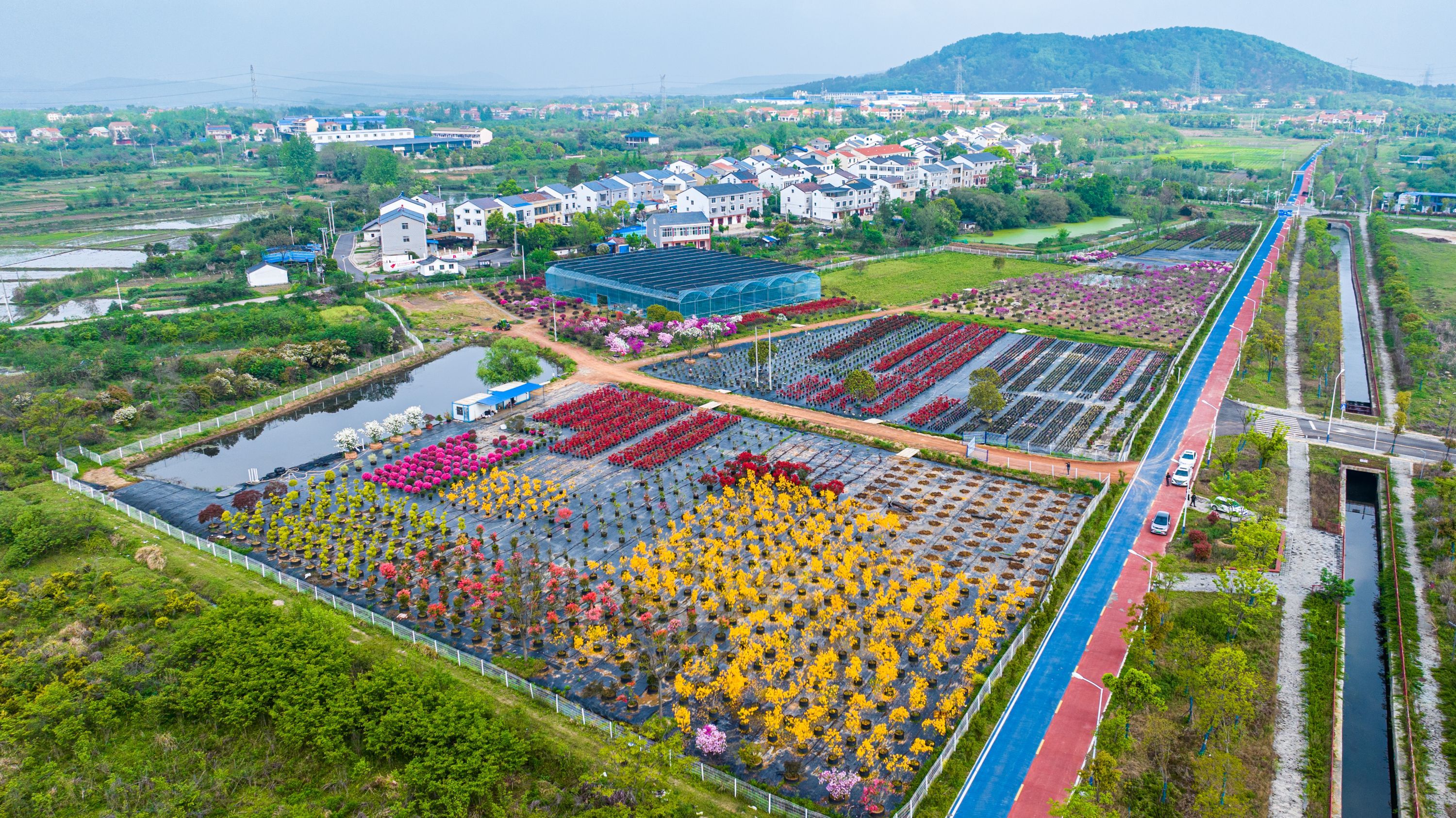 苗圃街道新项目的生态重塑与社区活力提升计划