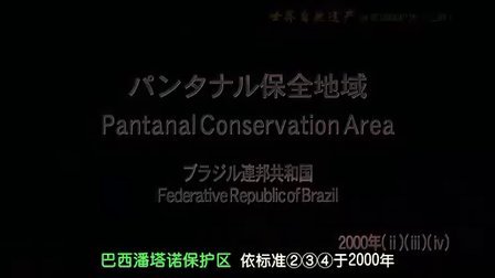 最新技术革新引领数字世界探索，揭秘数字世界中的最新概念——最新数字探索篇章（最新1024）