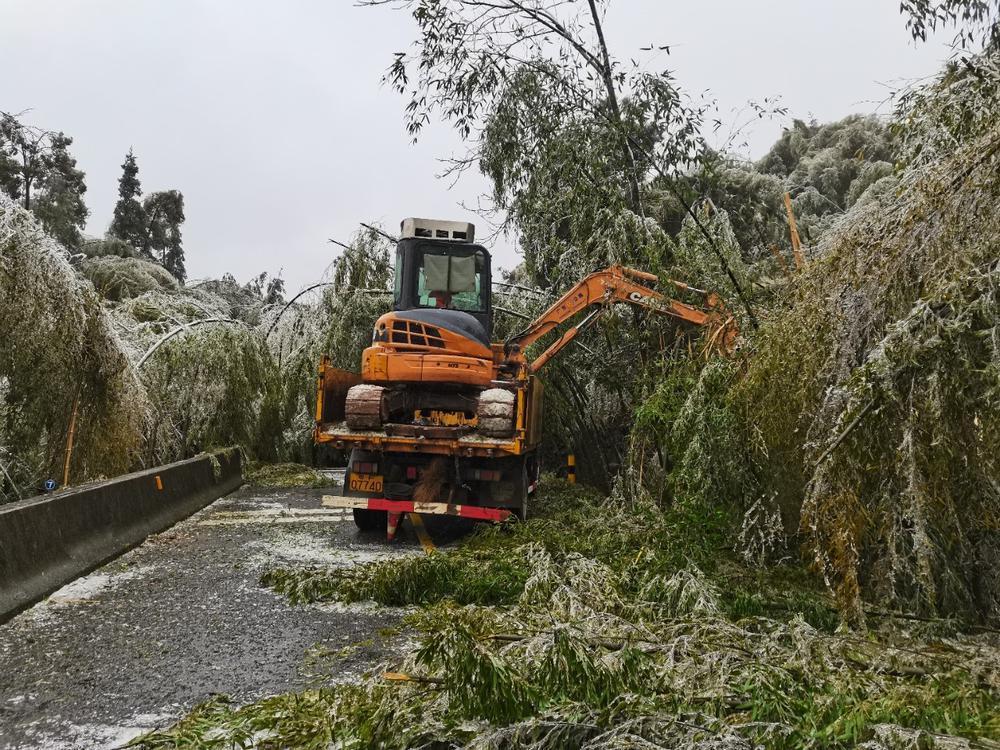 南雄市公路运输管理事业单位最新项目研究报告揭秘