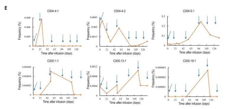 探索未知边界，揭示未来潜力，最新研究发现揭秘未来潜力新领域