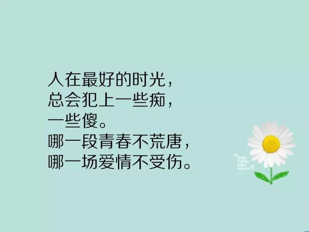 时代前沿的智慧火花，最新语录探索