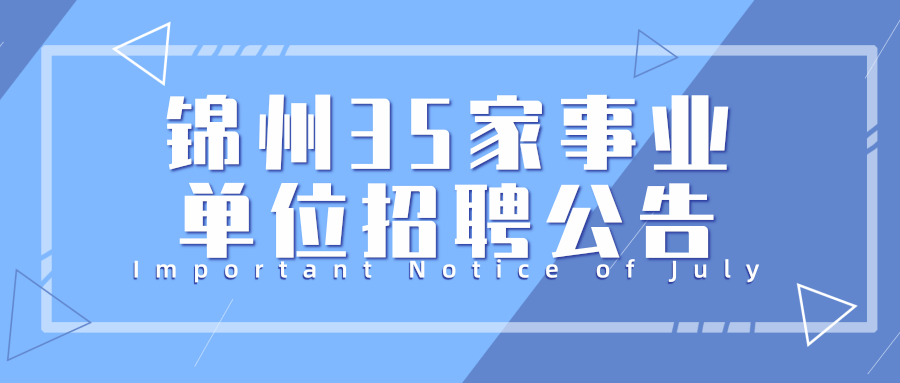 锦州招聘动态与就业市场深度剖析