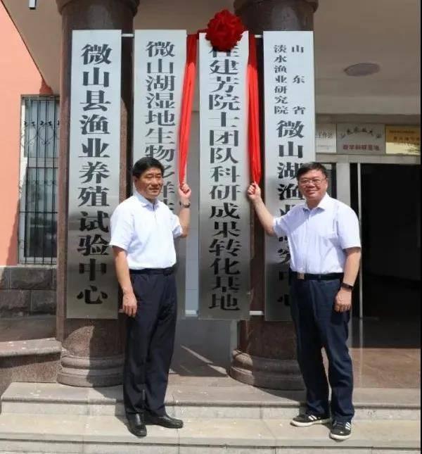 最新科研成果揭秘，科技前沿引领未来发展之路