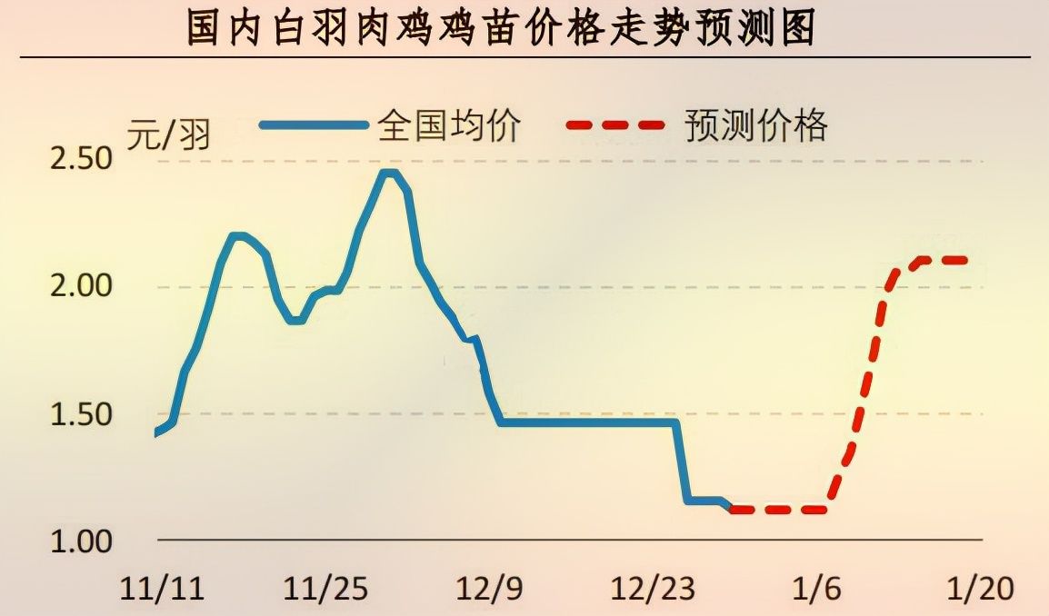 鸡苗最新价格动态解析报告