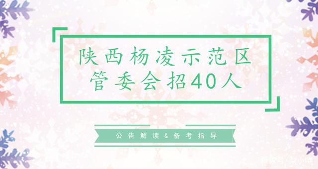 杨凌最新招聘动态与人才市场分析概览