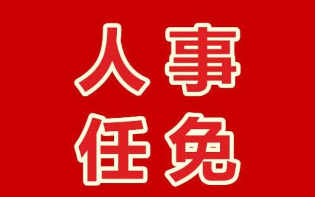 企业最新人事调整，变革动力与未来展望